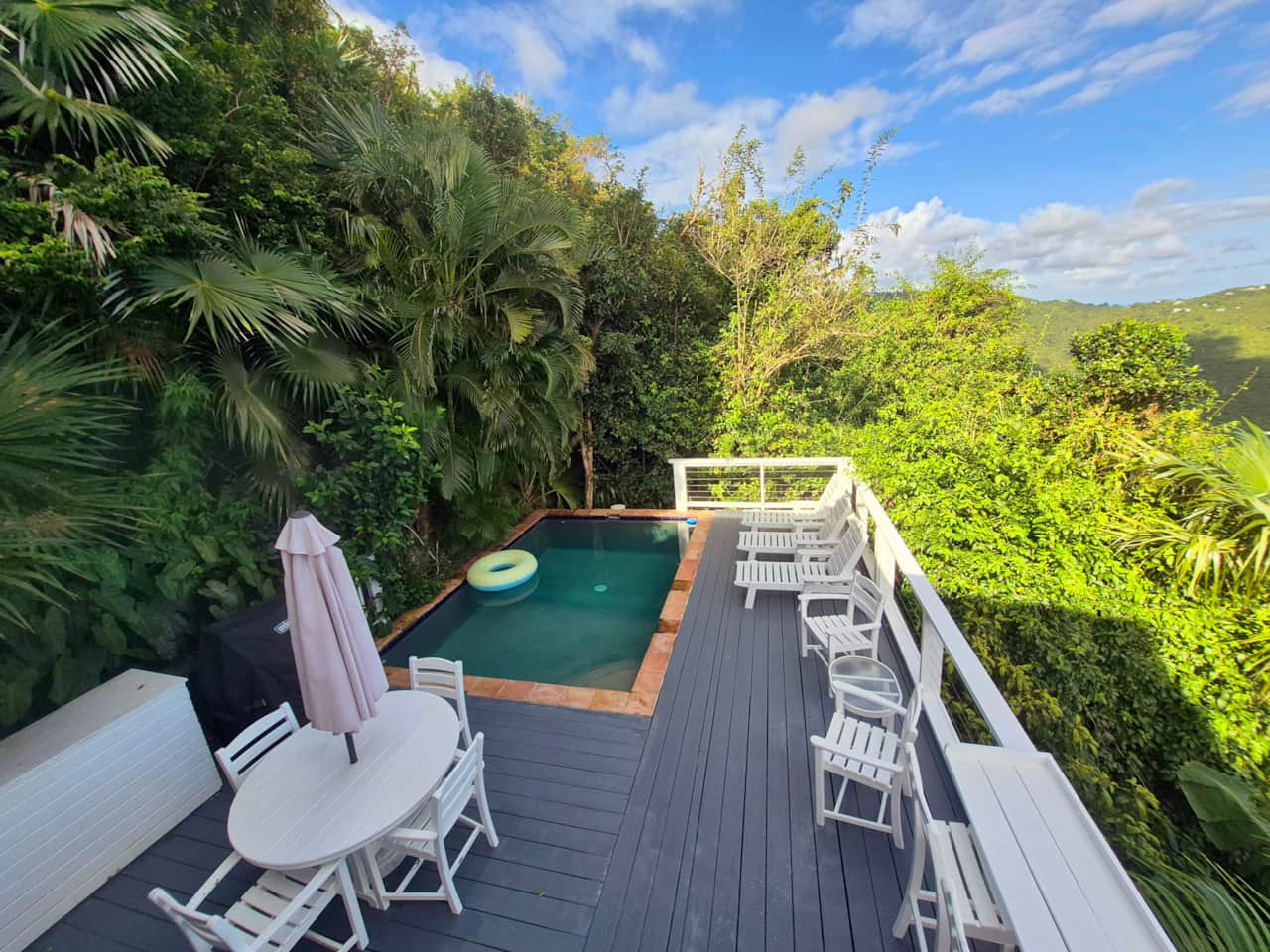 Pool & lounge