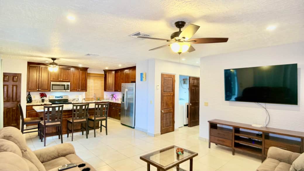 Open space with kitchen and living room