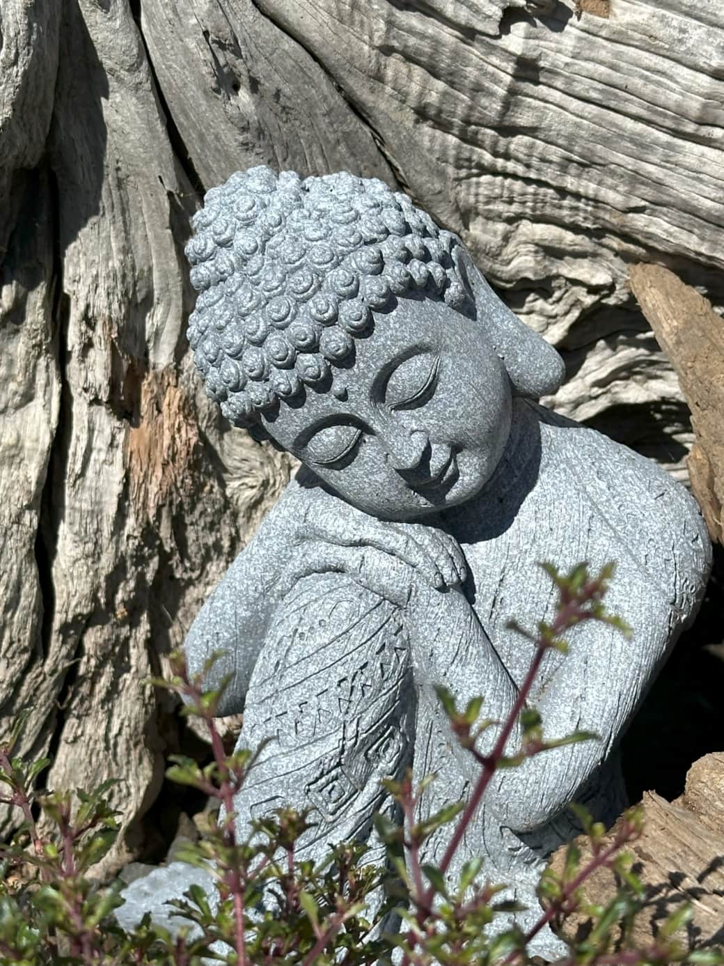 Buddha at Kūkupa Matairangi