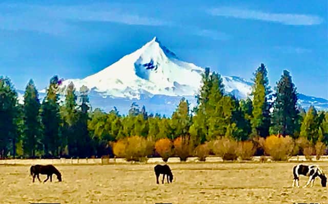 Big Meadow and Mt. Washington