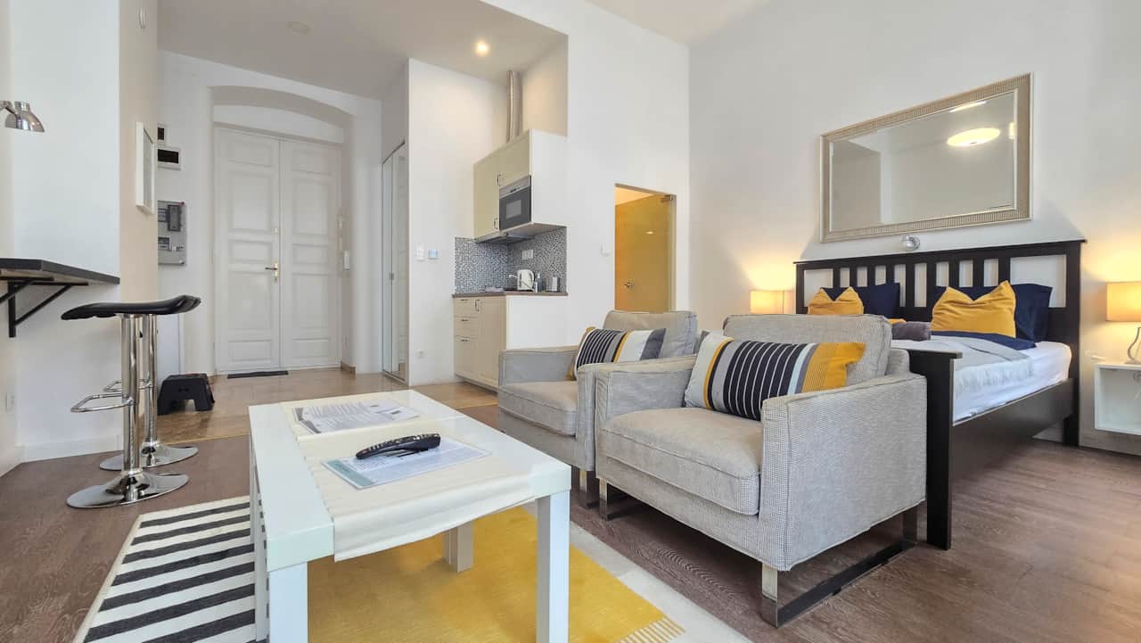 Living room/bedroom