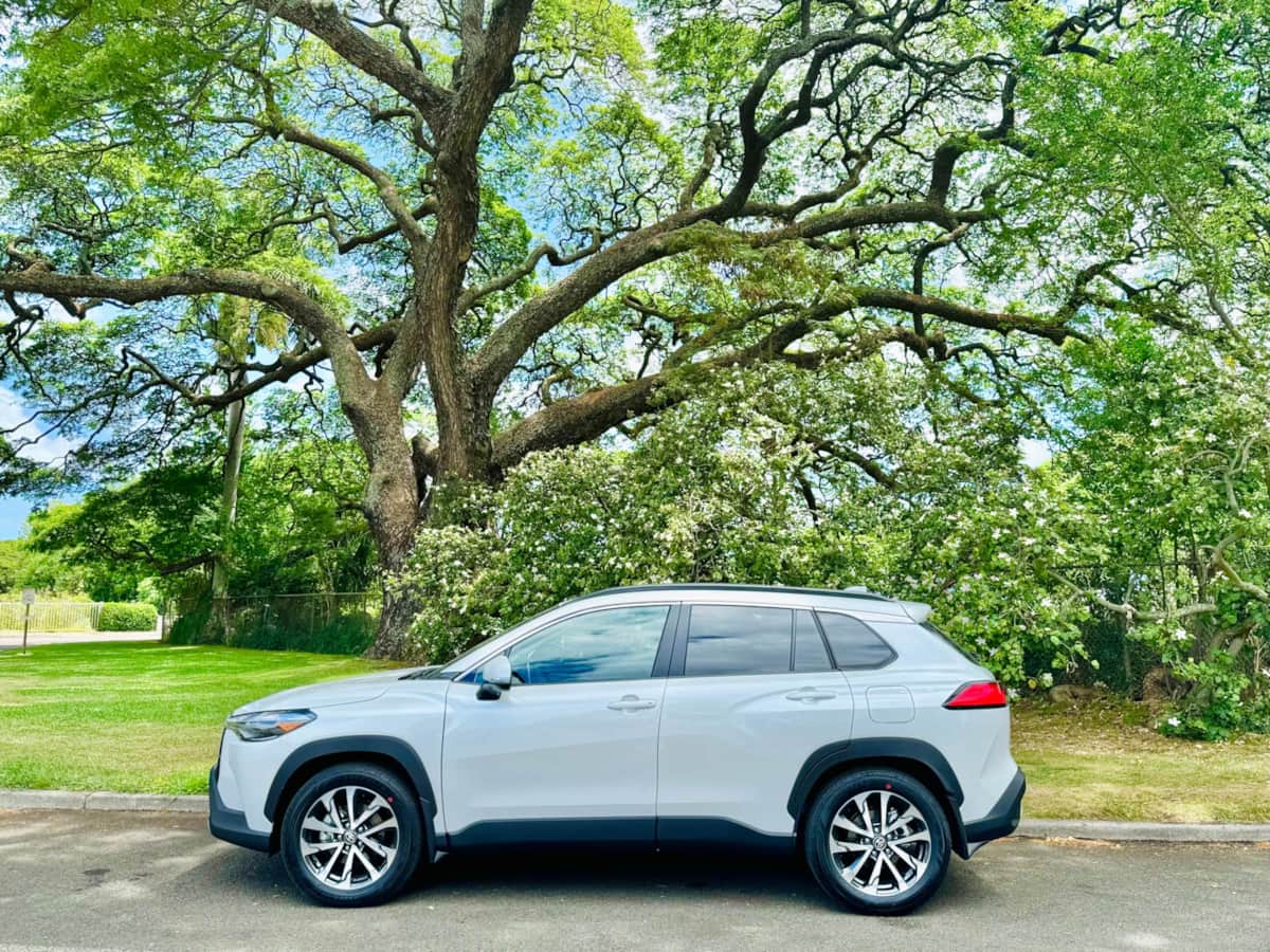 Morke Car Rentals Car Rental