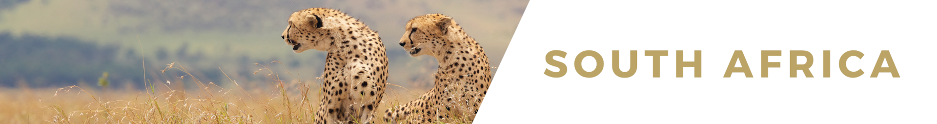 South Africa luxury safaris