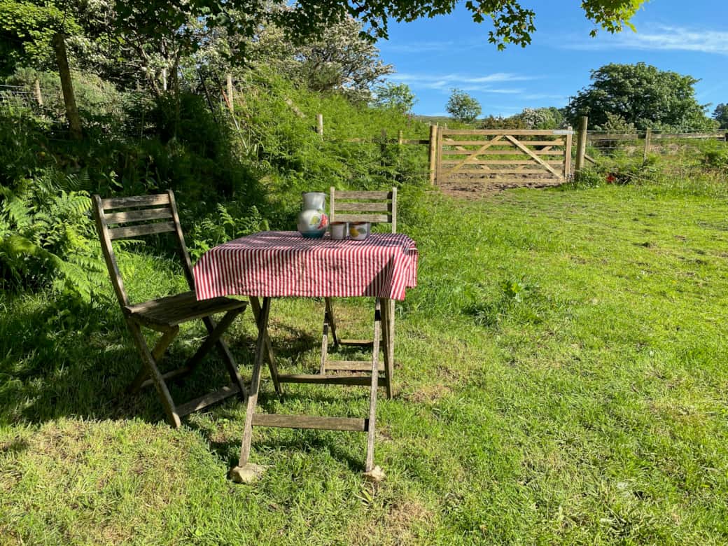 Shady spot under the tree