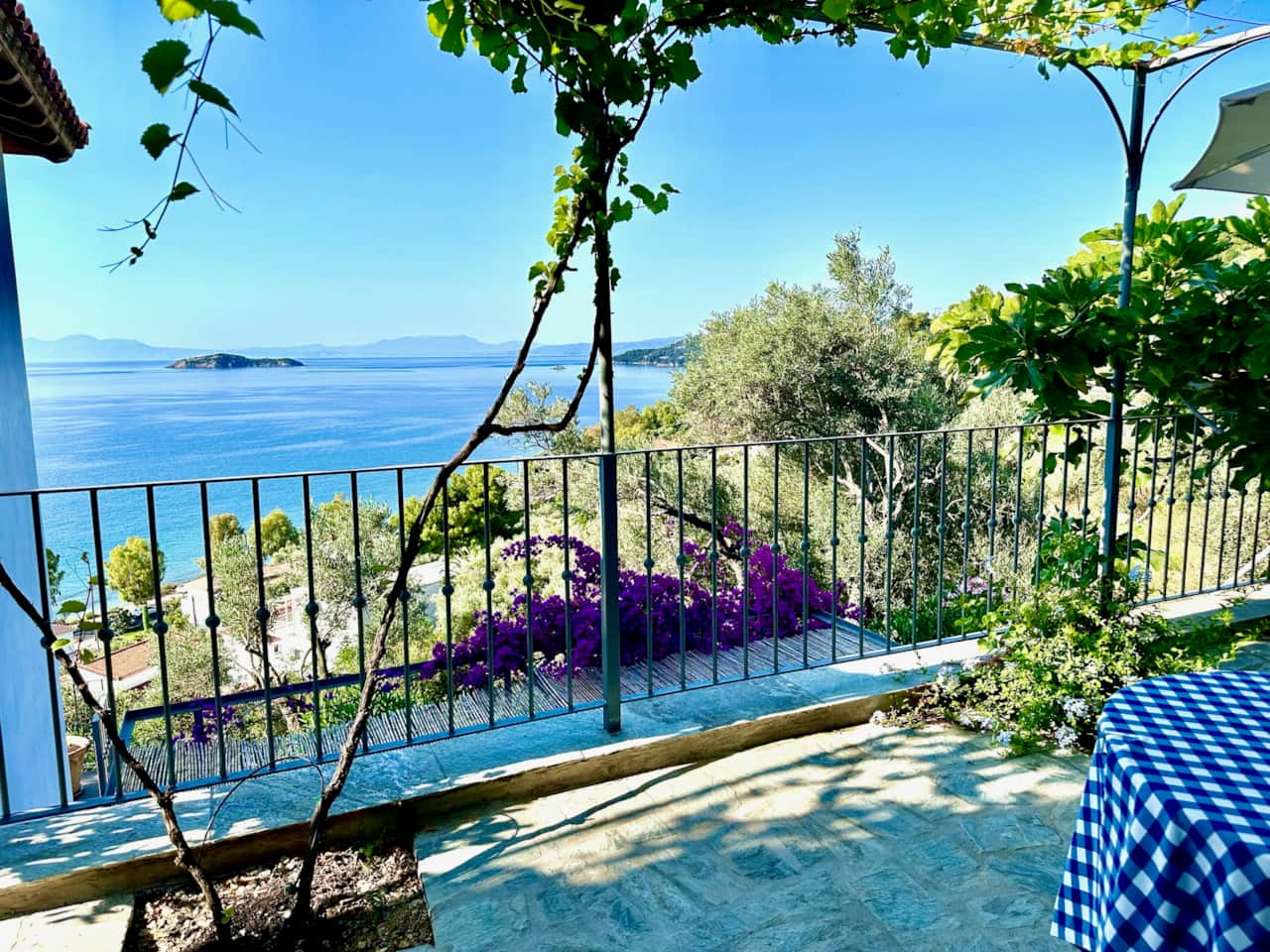 Patio and view of Studio 6