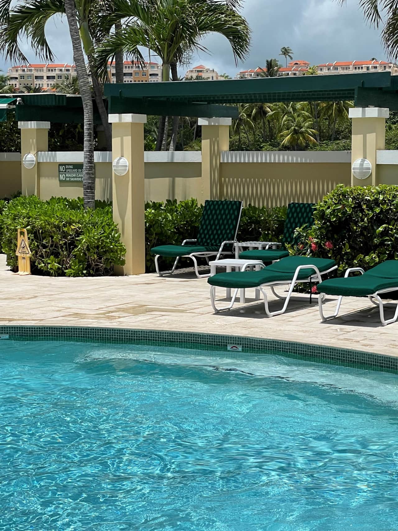 Pool Lounge Chairs