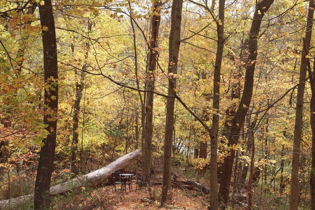Have a picnic or a campfire or both.