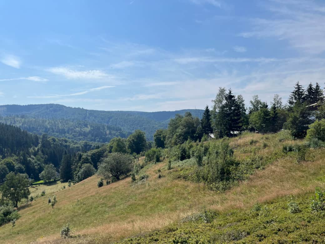 Diskret eingebettet in die Natur: Dein Chalet – kaum einsehbar, direkt am Naturschutzgebiet.