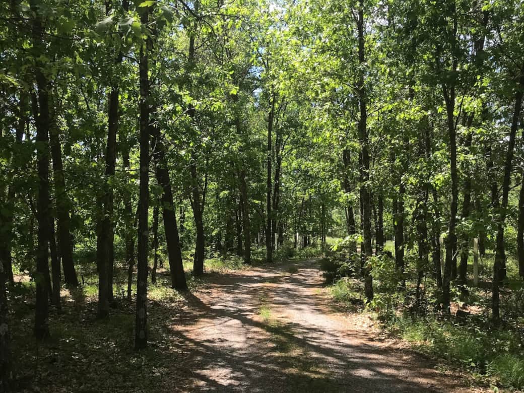 Winding Driveway leading to complete seclusion