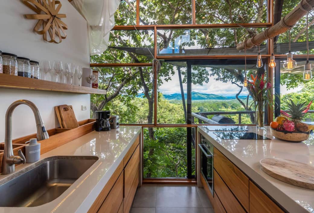Views from the kitchen
