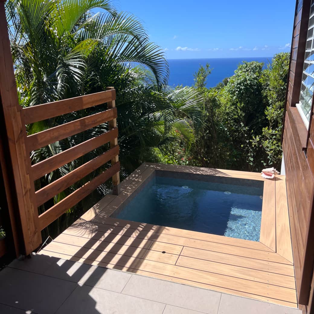 Terrasse et piscine privée