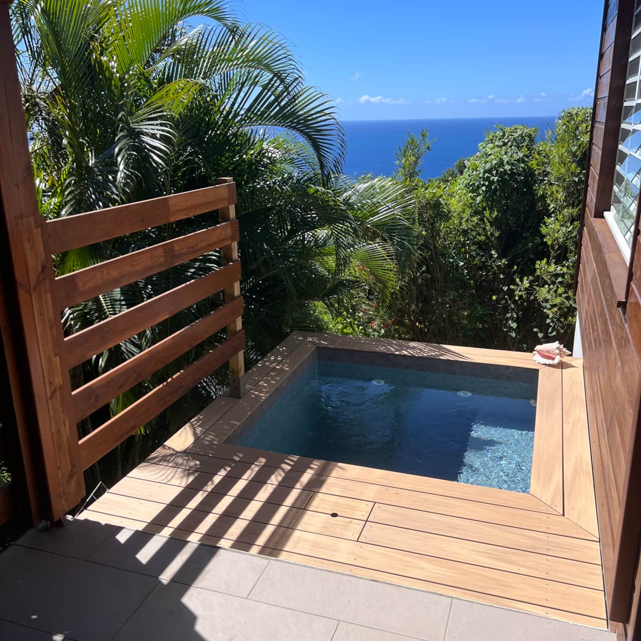 Terrasse et piscine privée