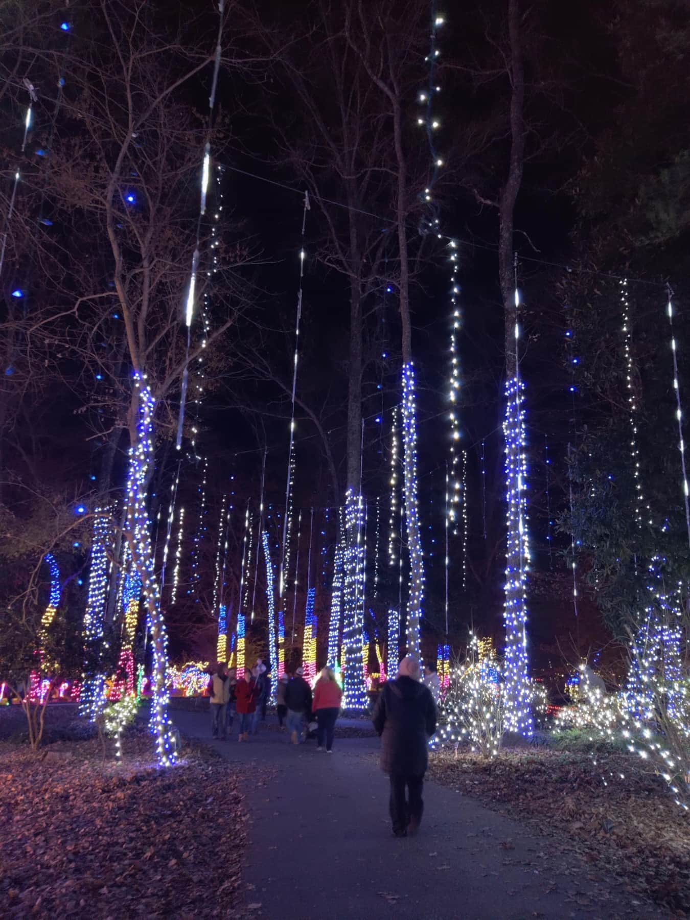 Christmas at the Falls