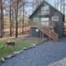 Rental image