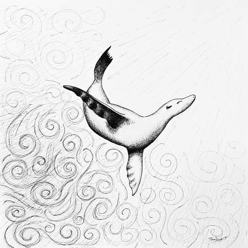 "Swirling Sealion"