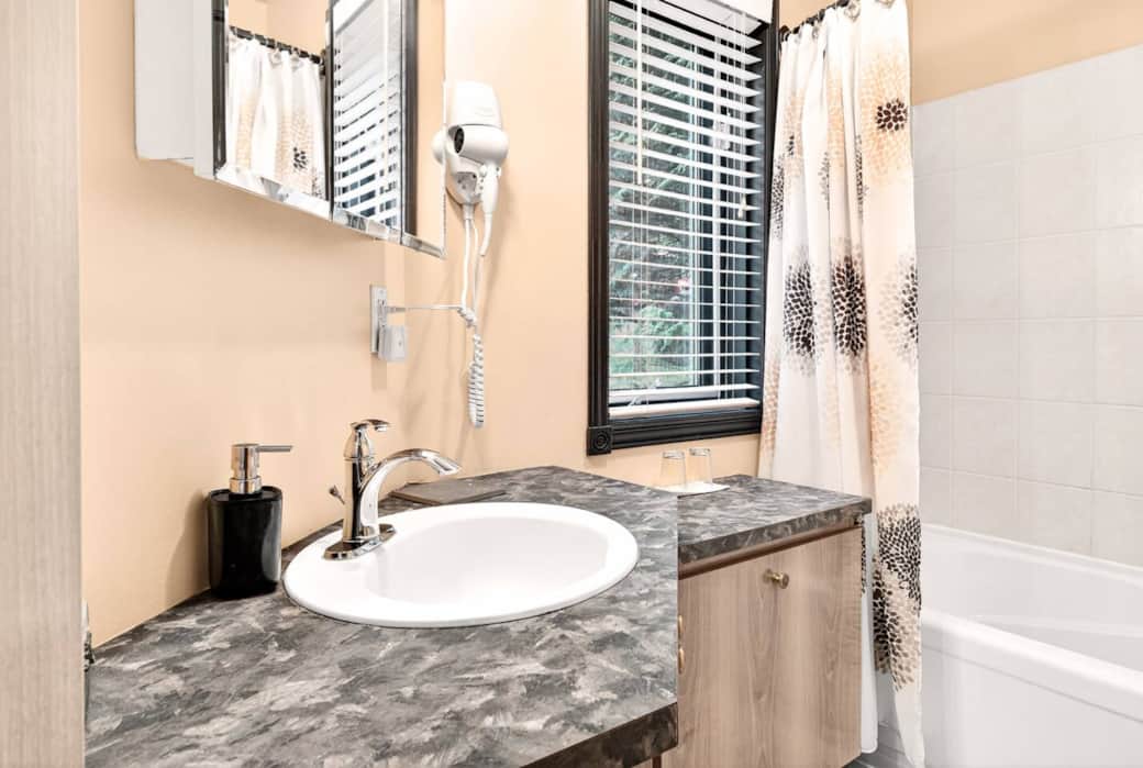 Salle de bain (baignoire et douche)