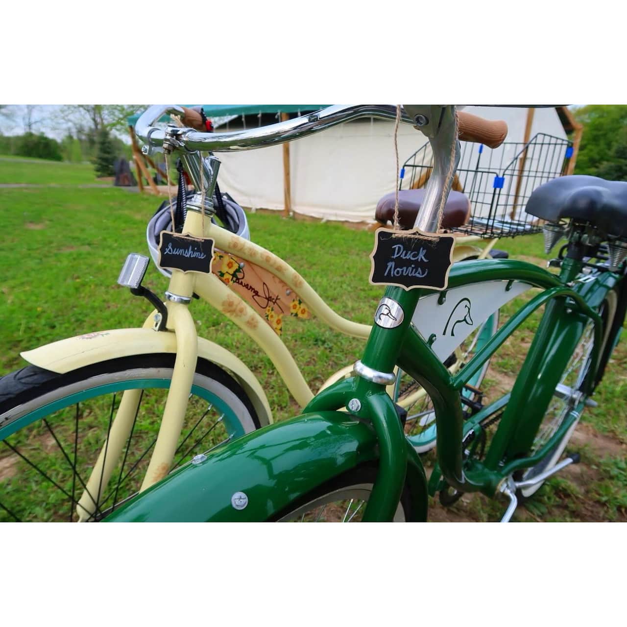 Cruiser bikes 