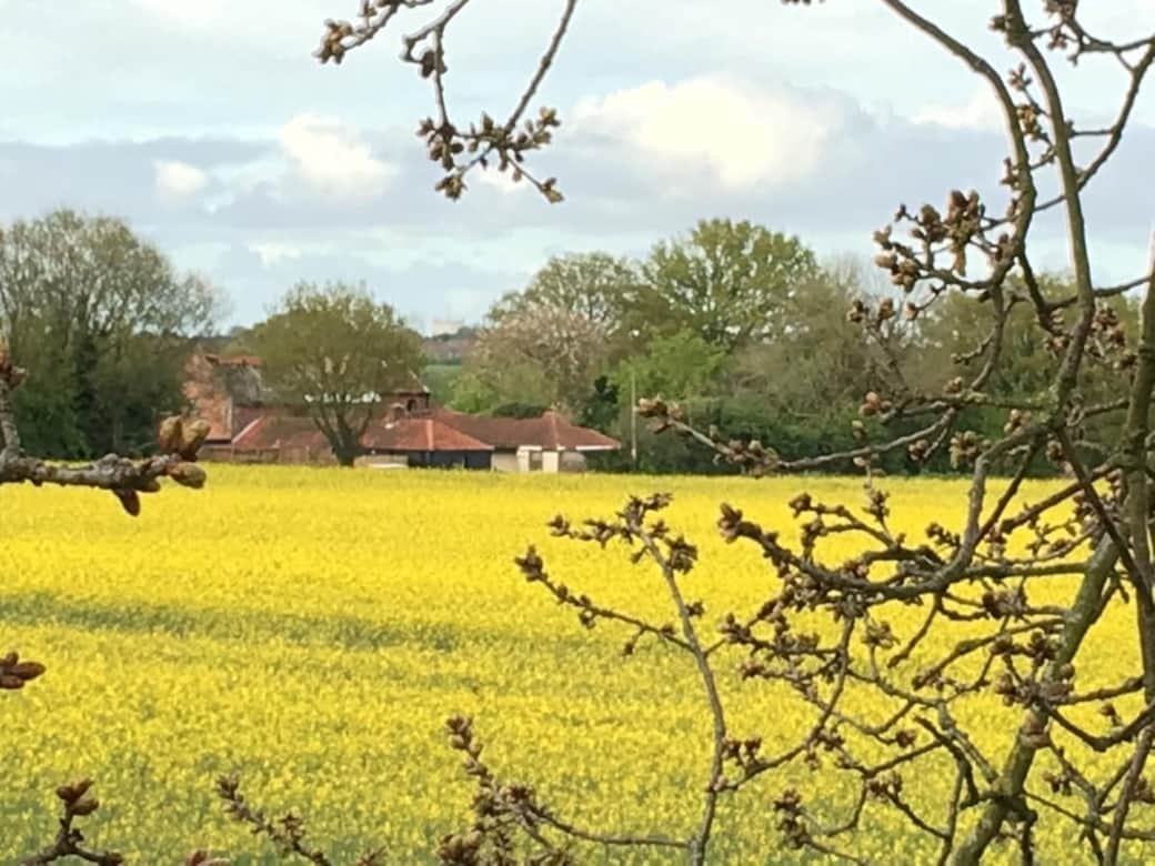 VIEWS : The lodge seen from the woodland.