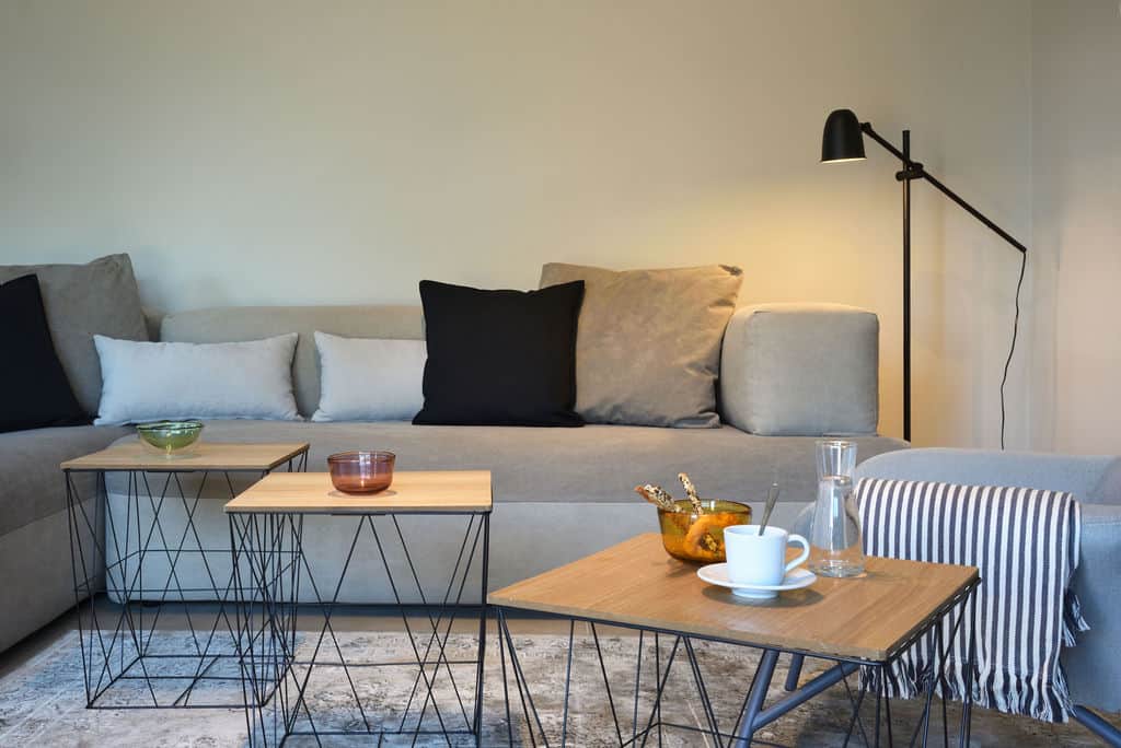 Living room 2-piece couch, also used as comfortable single beds
