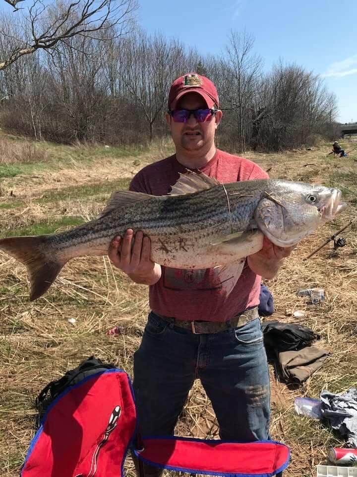 Sea Run Bass