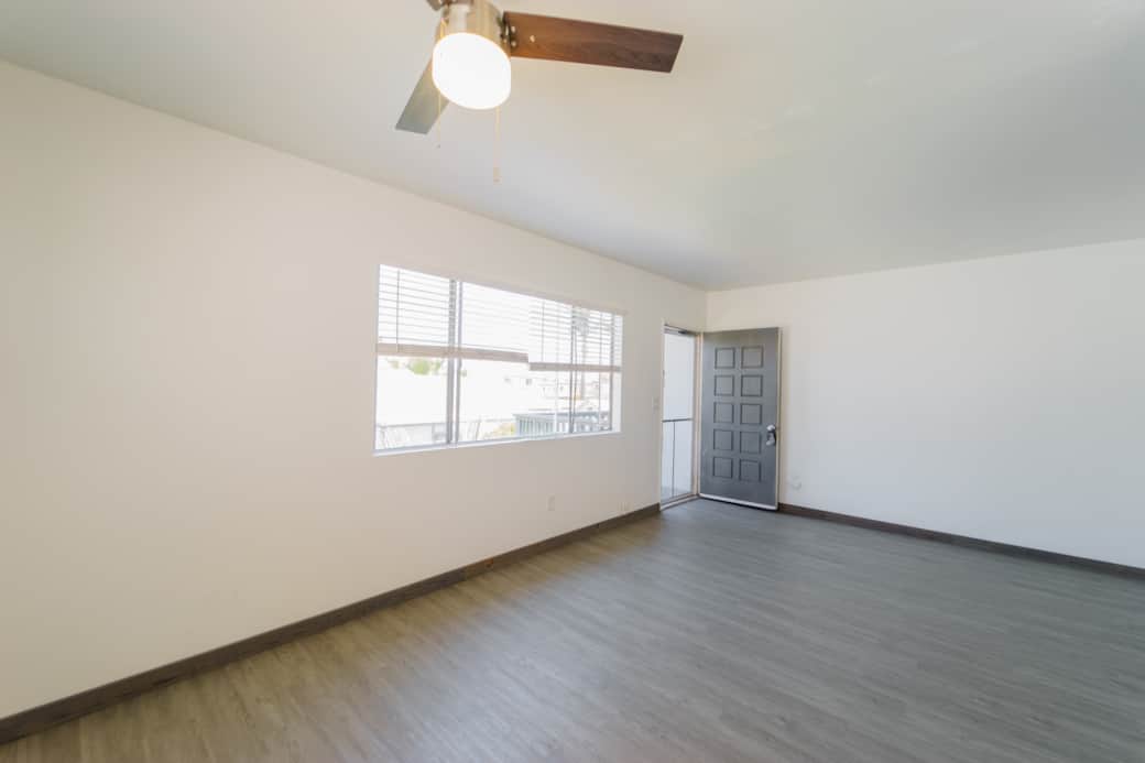 Open Living Area - Full of Natural Light