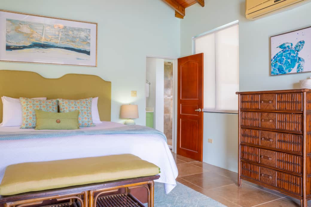 Sea Turtle Suite (Primary)