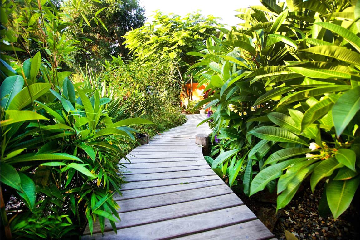 Tula Suite tropical garden pathway