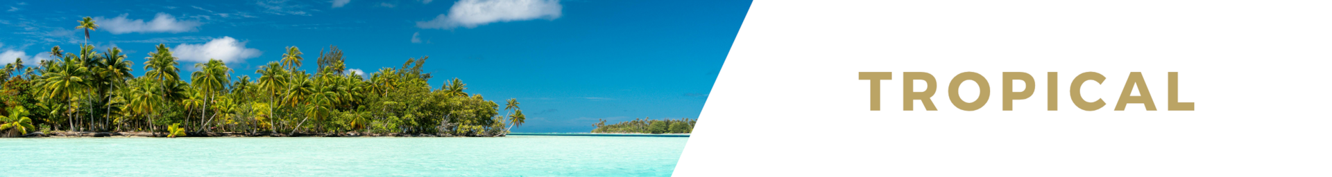 Tropical luxury villa rentals for Winter Sun