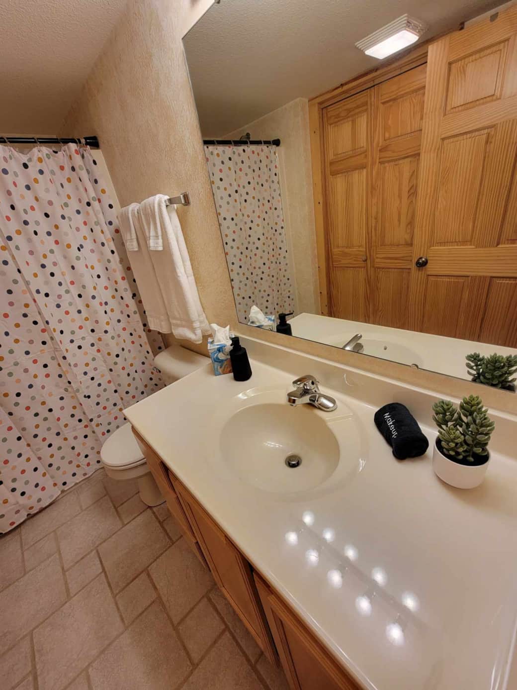 Lower-Level En Suite Bathroom