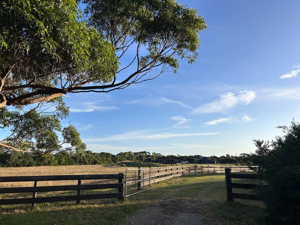 View from front gate