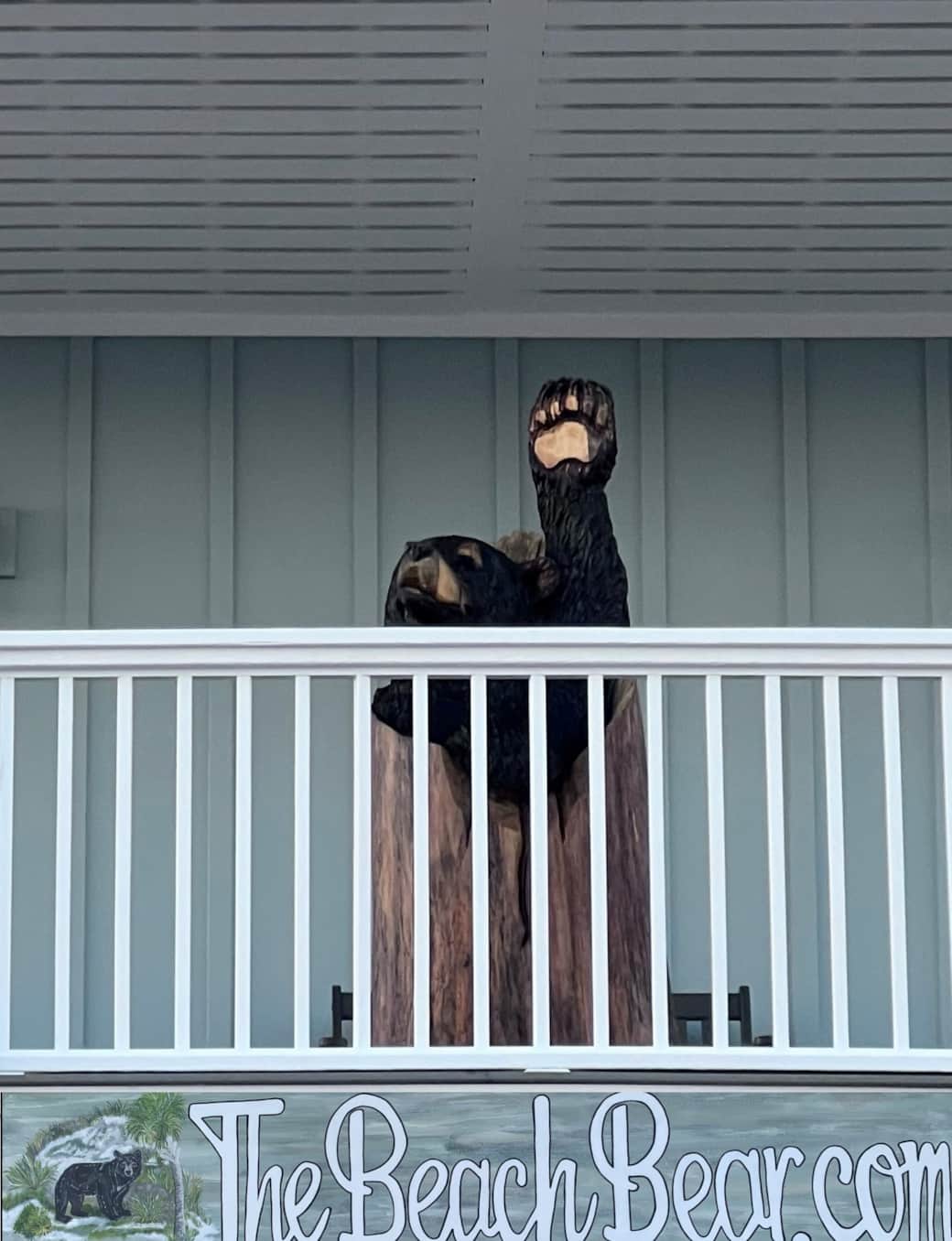 Bear and sign