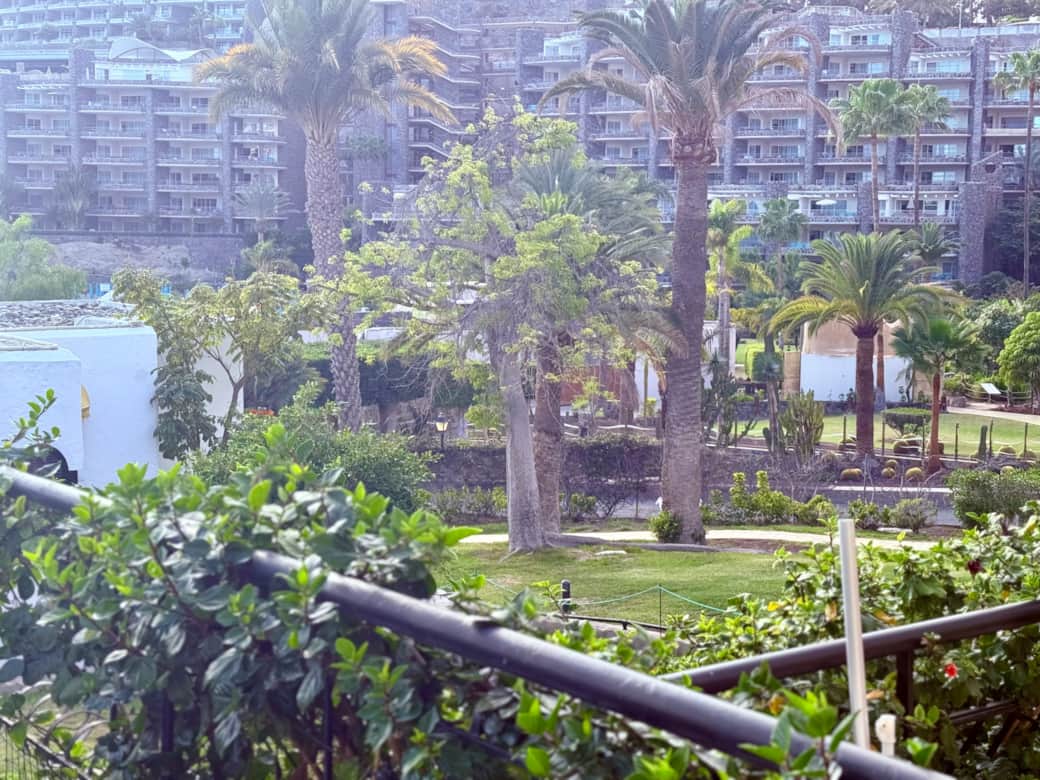 Garden view