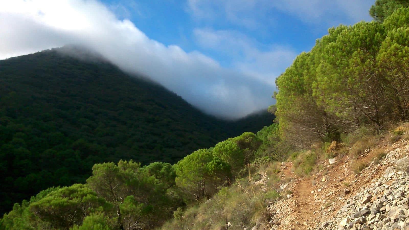 Hiking trail at Cañada de las Palomas – El Mezto