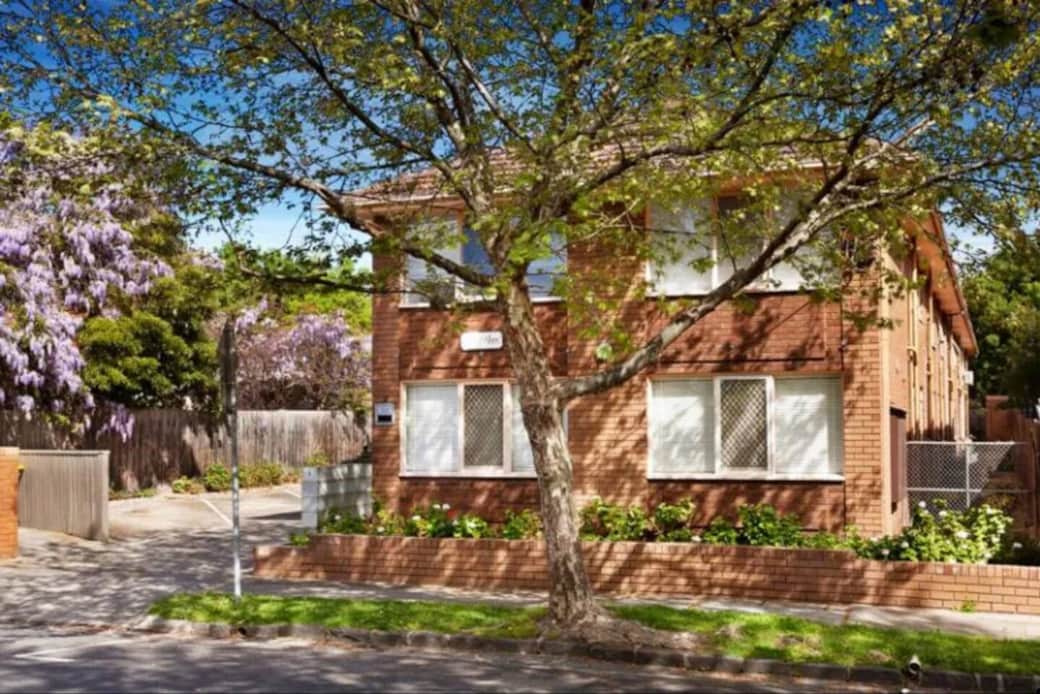 Outside Leafy Quat Quatta Outside Leafy Quat Quatta