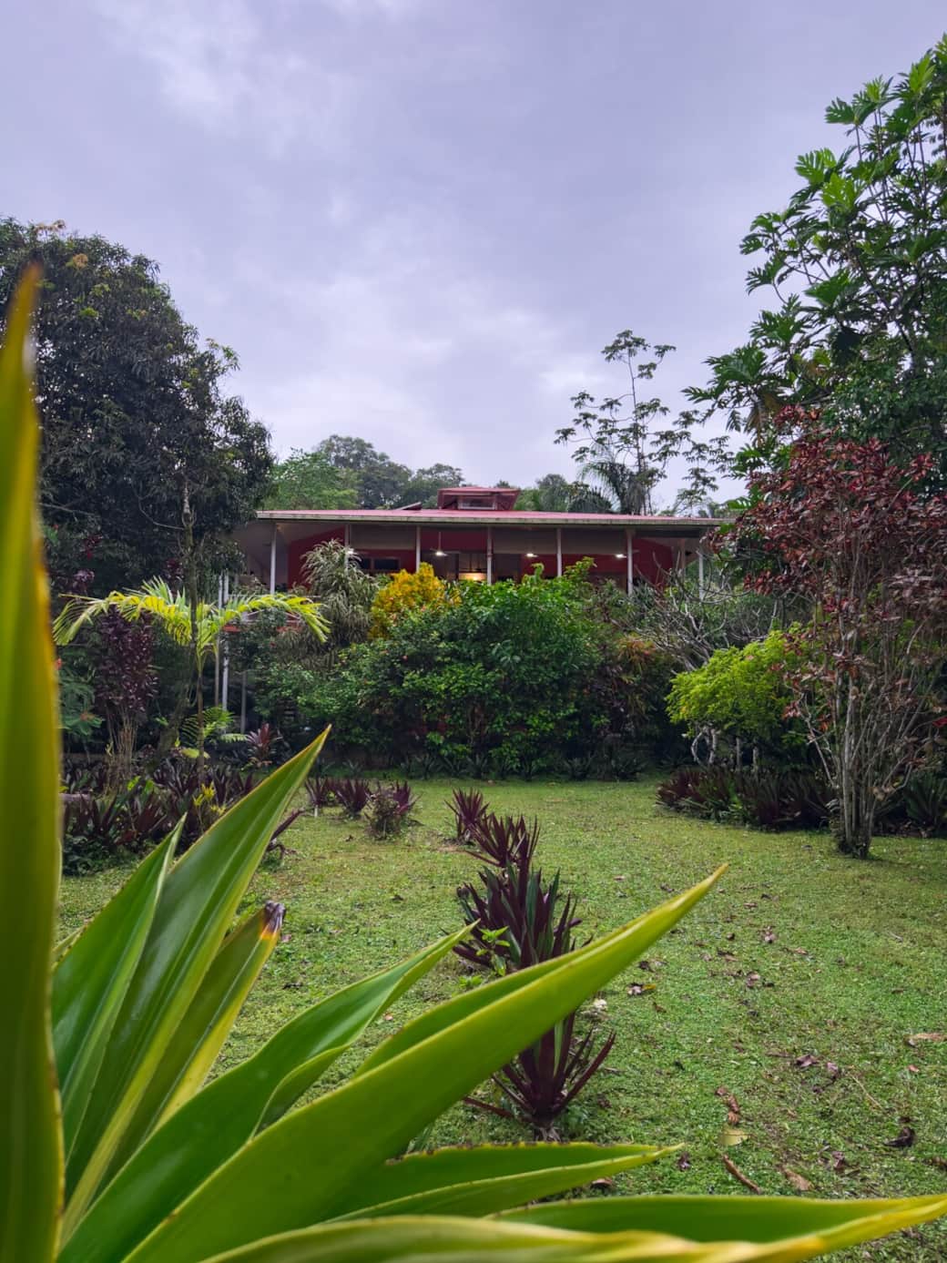 Front exterior of Conchy Tonk surrounded by lush tropical plants, with the second-floor terrace perched above the garden for elevated jungle views.
