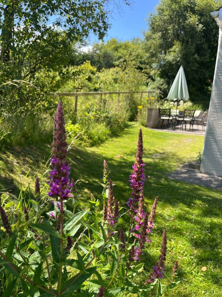 View of the patio from the side garden.