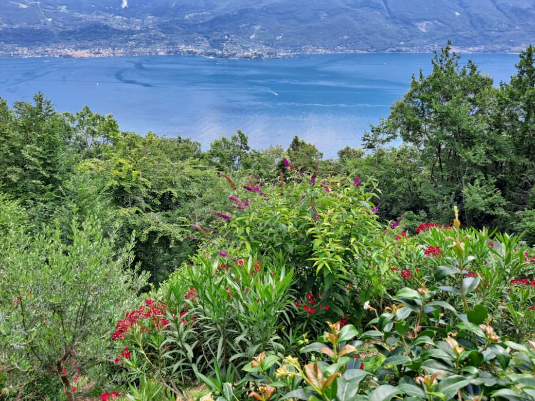 Foto Ausblick Terrasse