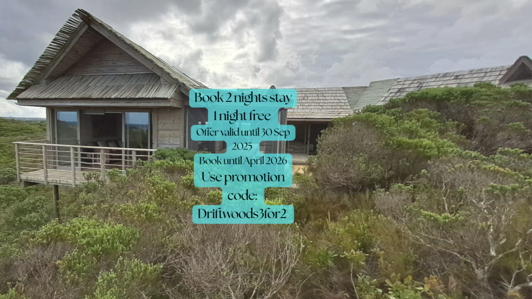 Driftwoods 3 for 2 (6)