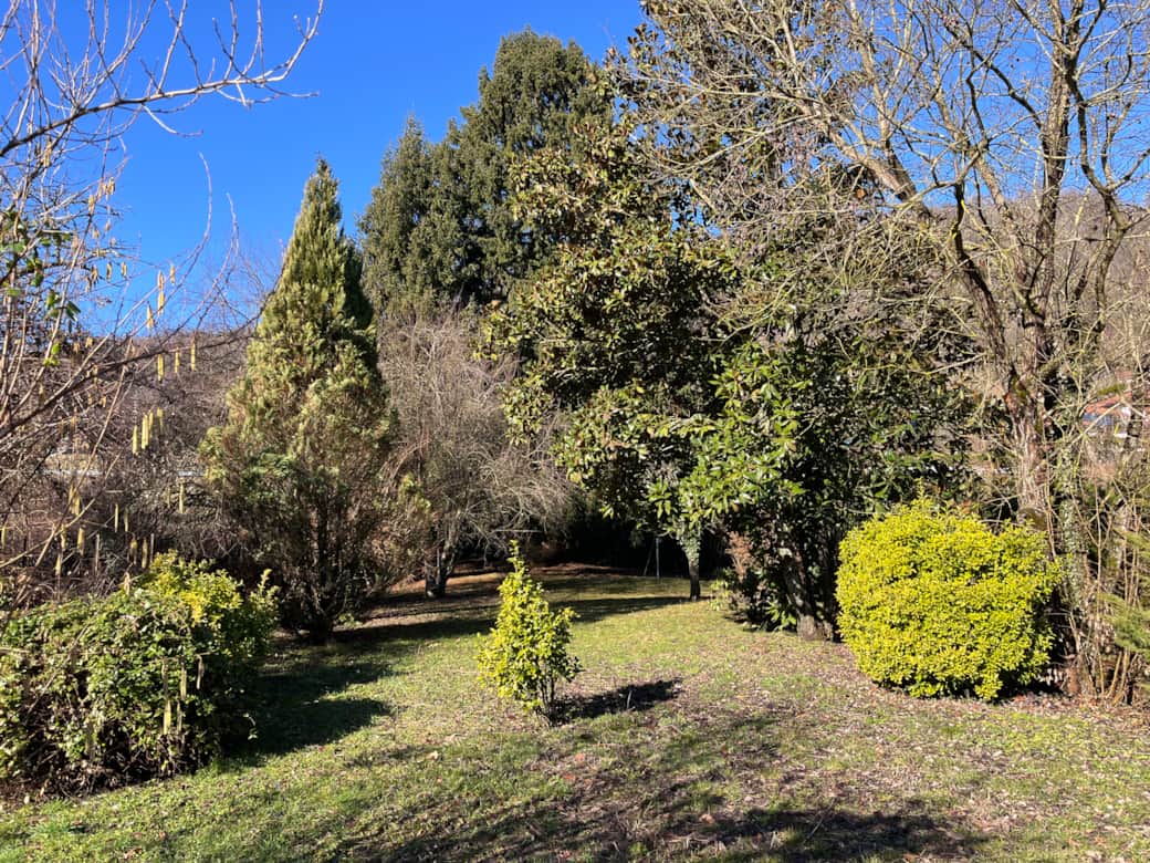 Jardin ombragé Jardin ombragé