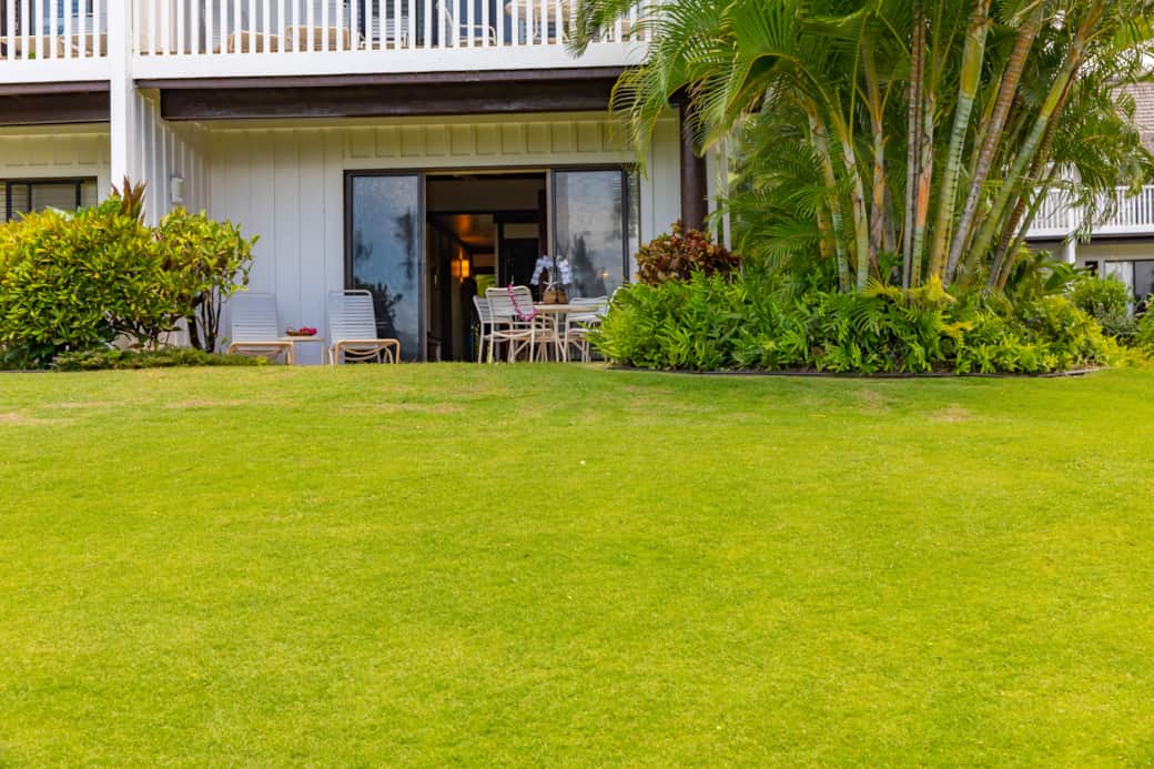 Large grassy area allows for serene moments