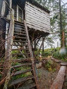 Small Tree House Exterior