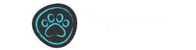 StayVentures
