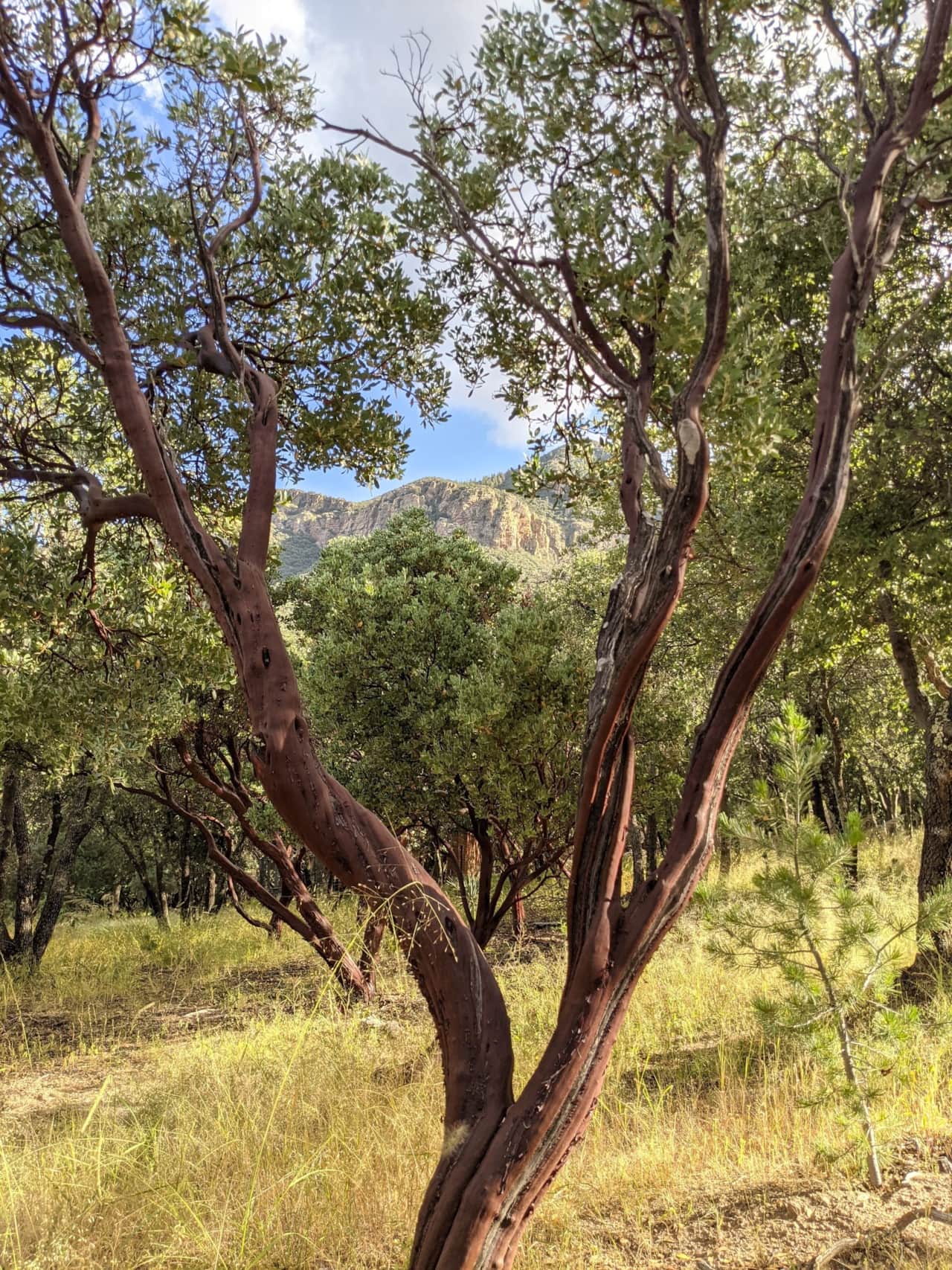 Beautiful views are found all over the property.