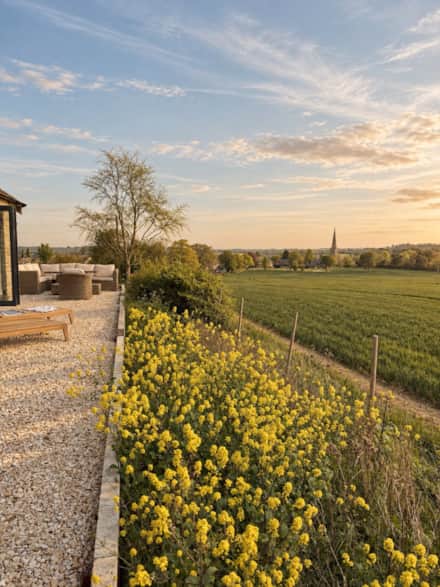Four-legged guests and the outdoor spaces