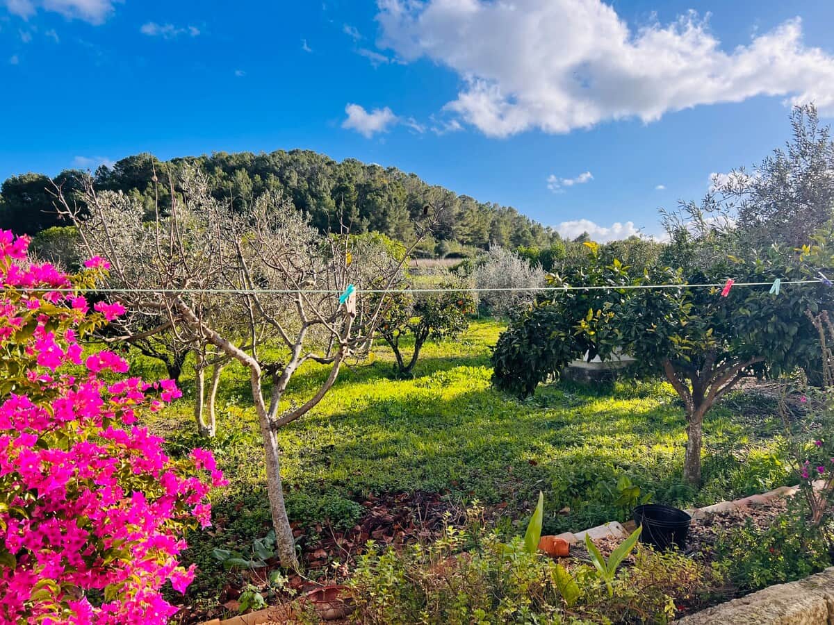Vista al exterior desde la planta baja de la casa. Tender la ropa rodeado de naturaleza. 