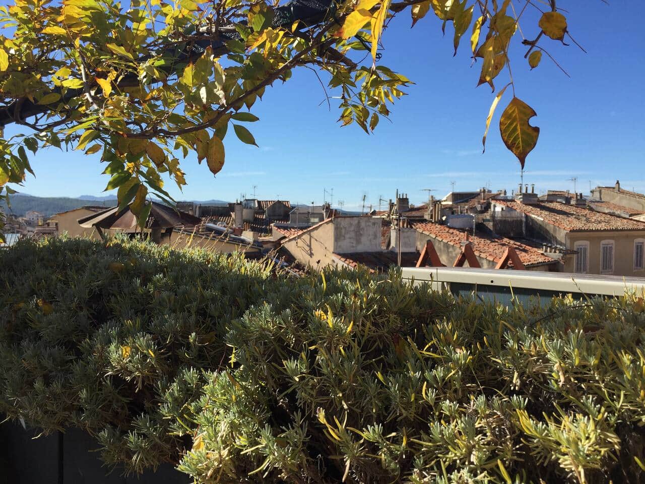 terrasse, vue, plantes