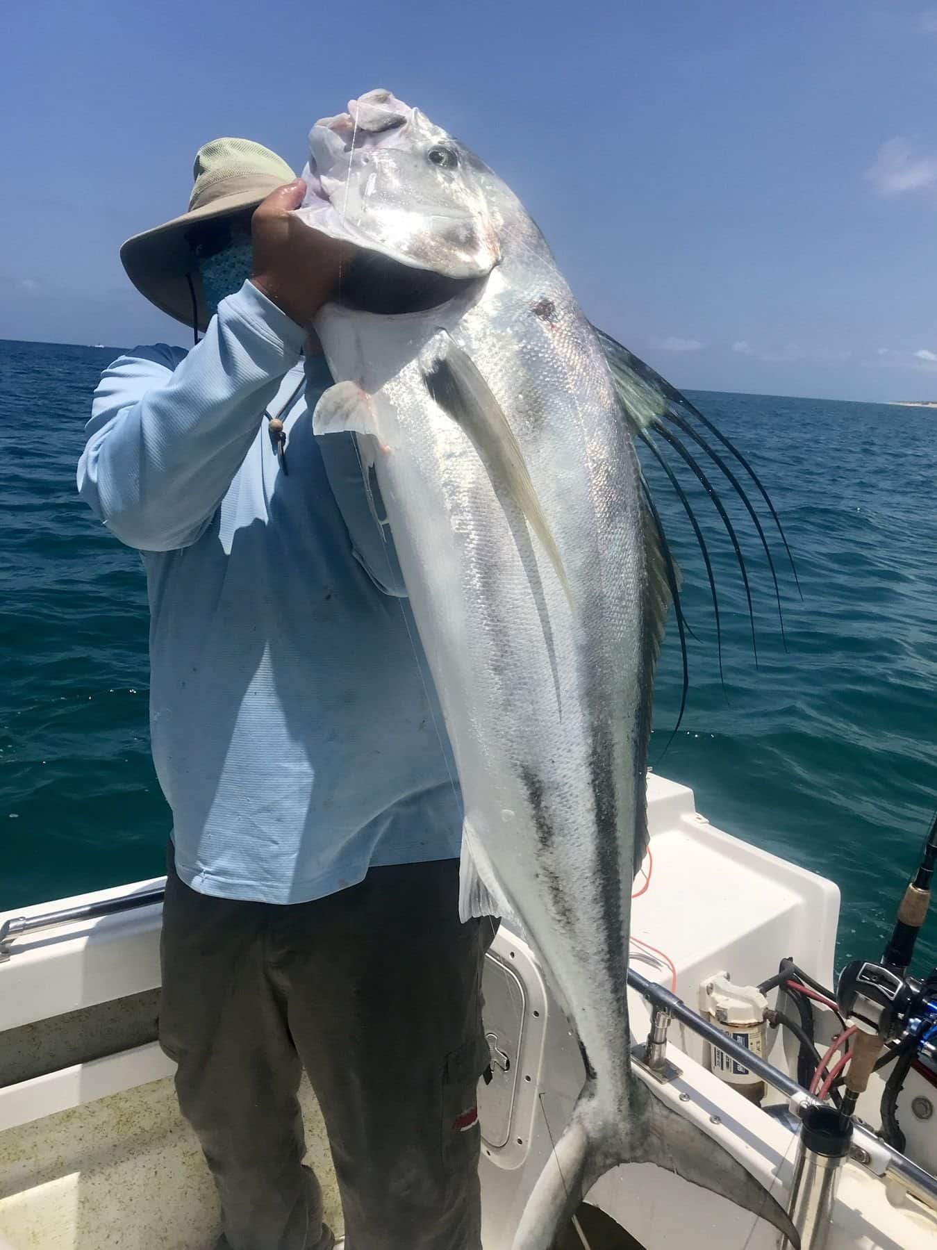 Rooster Fish - Biggest I've ever seen
