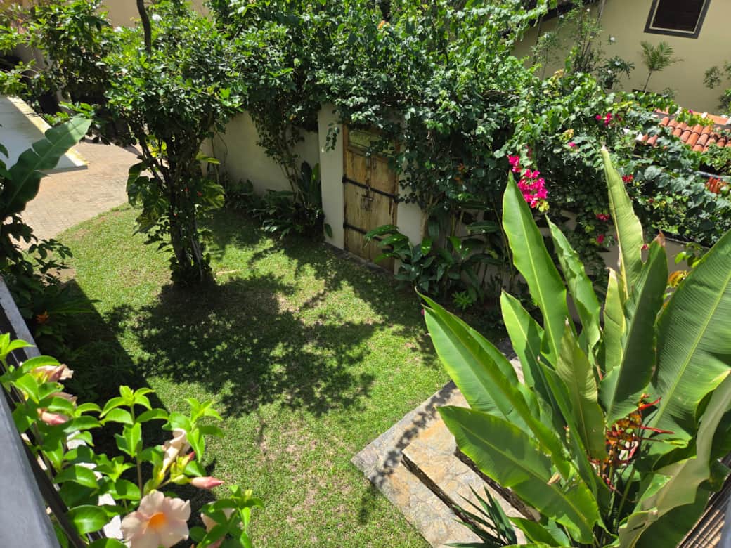 Downstairs garden
