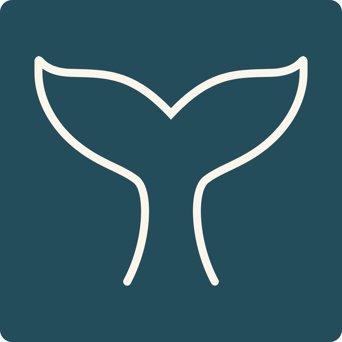 See the Whales at Stellwagen Bank