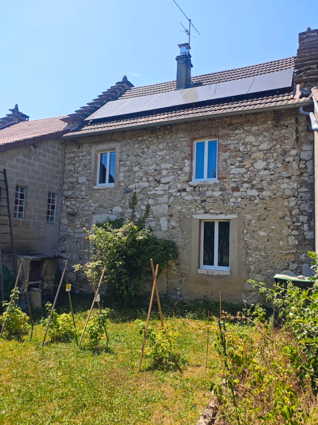 IMG 20250702 141802